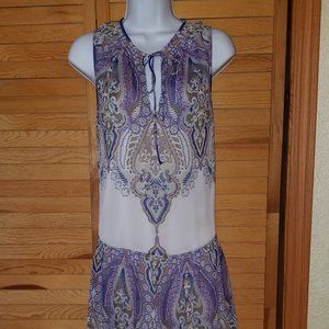 Sleeveless Sheer Print Lined Dress Large